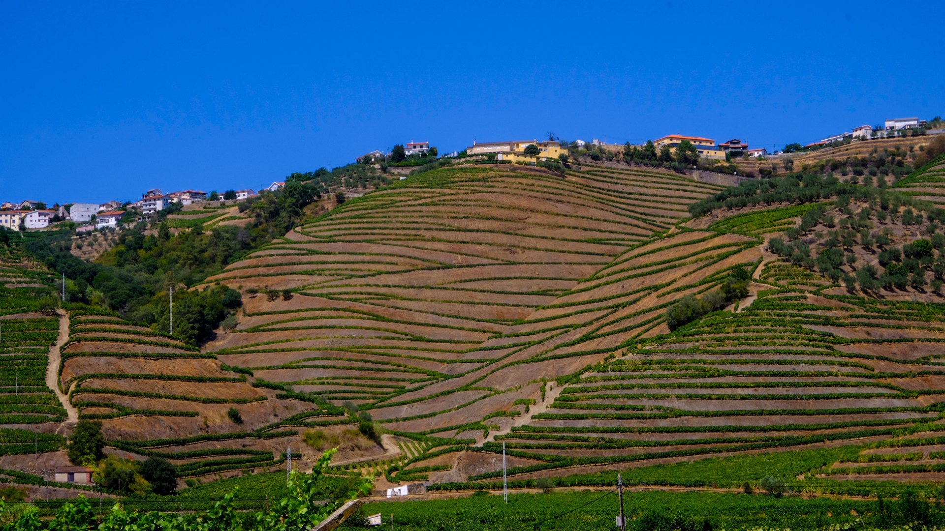 Douro